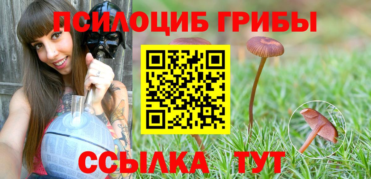 Галлюциногенные грибы Cubensis Елизово