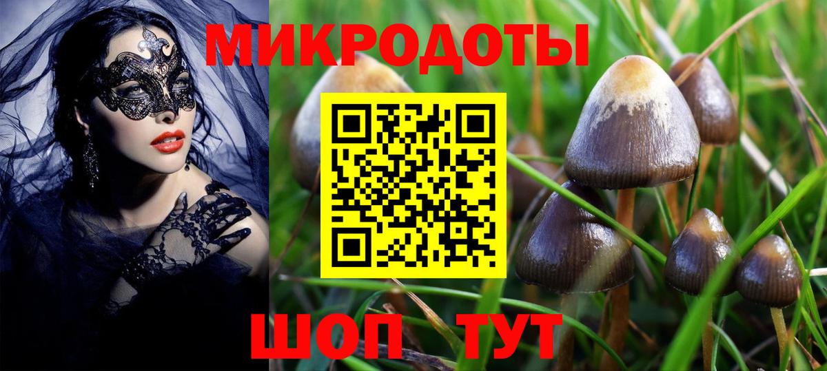 Елизово  Галлюциногенные грибы GOLDEN TEACHER  как найти наркотики  Вход с VPN 